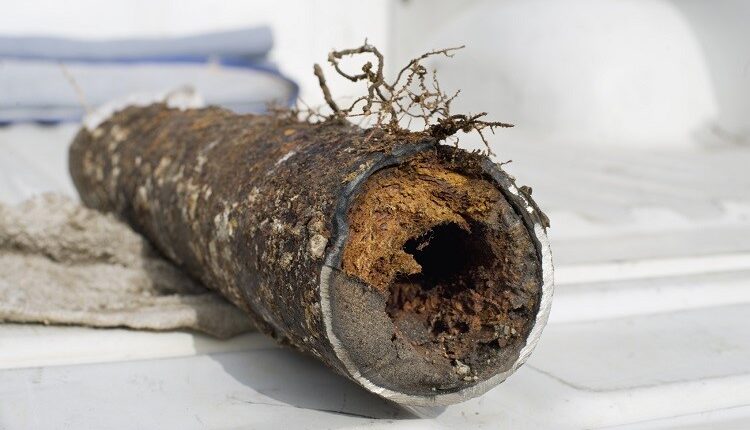 Major Sewer Problems And Their Repair And Replacement Services