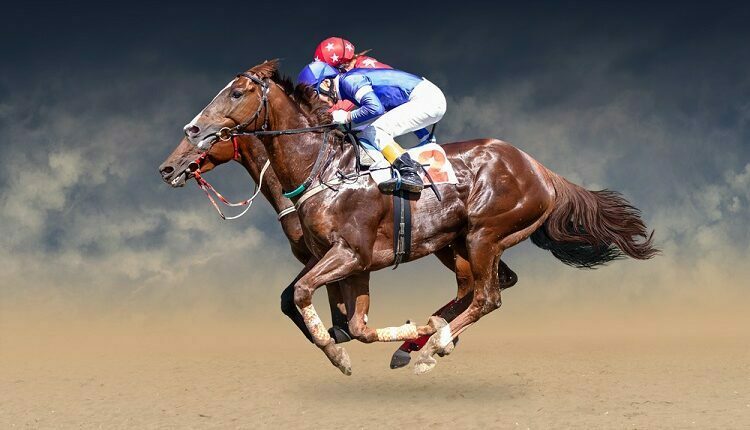 LoranoCarter+Ascot