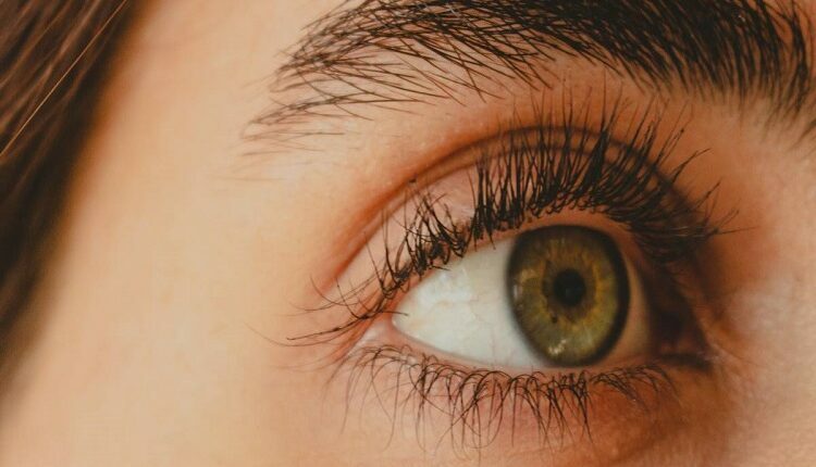 Eyebrows And Eyelashes