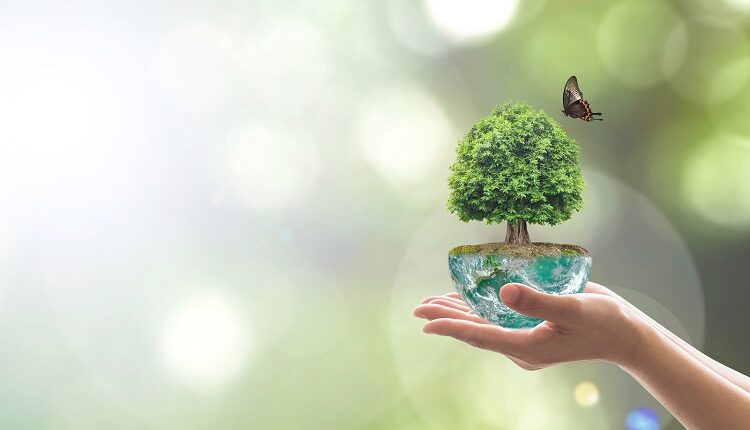 Preserving Nature and Raising Awareness